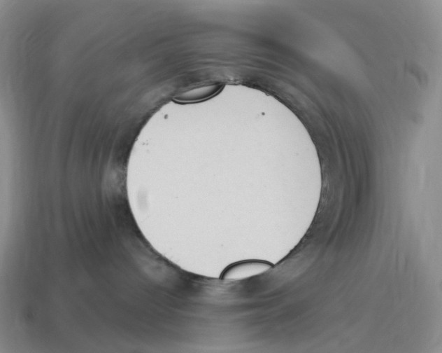 X0000114240096200911061557