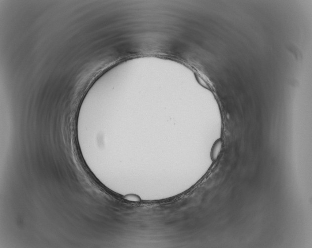 X0000114240097200911061557