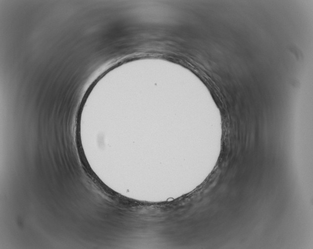 X0000114240100200911061557