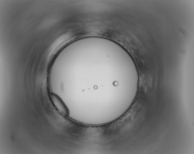 X0000114240101200911061556