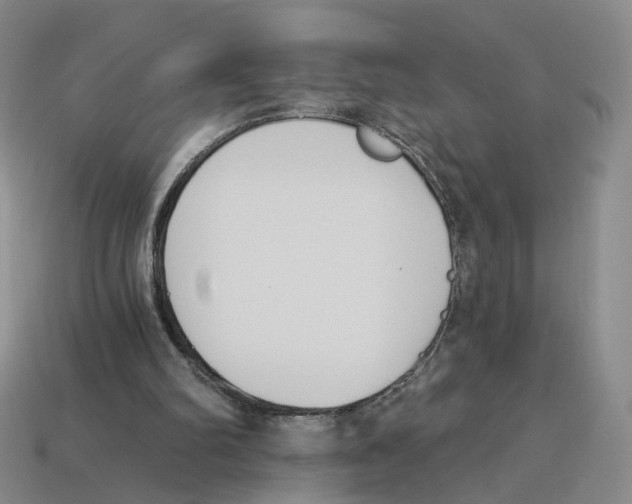 X0000114240102200911061556