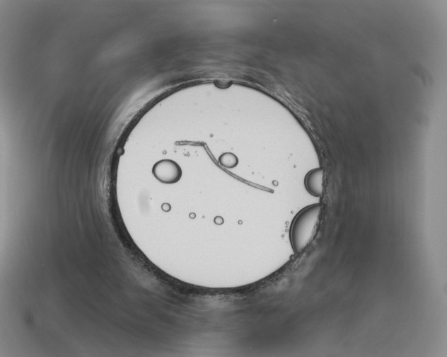 X0000114240103200911061556