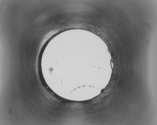 X0000114240104200911061556