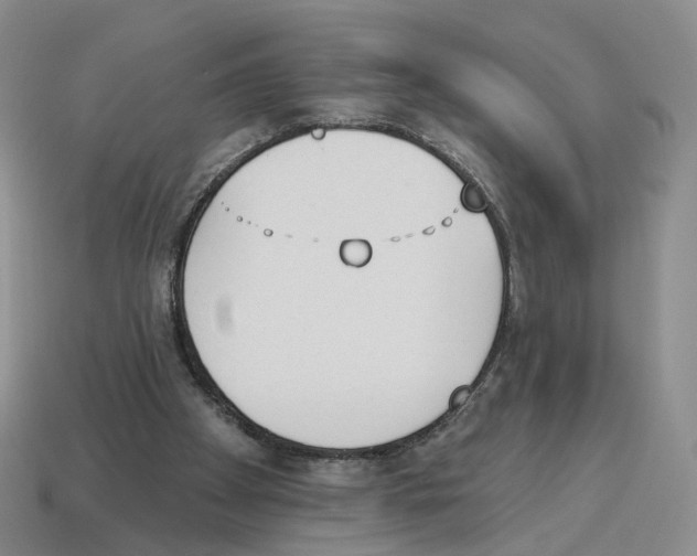 X0000114240105200911061556