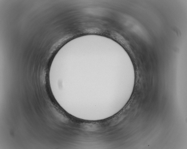 X0000114240106200911061556