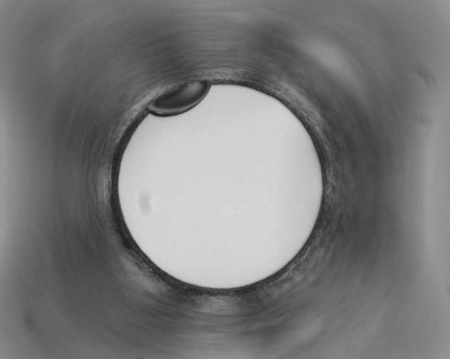 X0000114240107200911061556