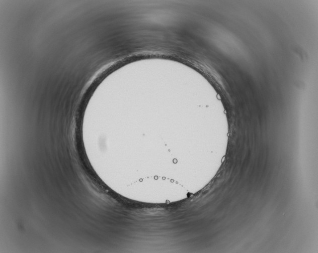 X0000114240108200911061556