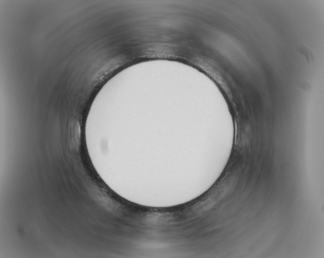 X0000114240109200911061556