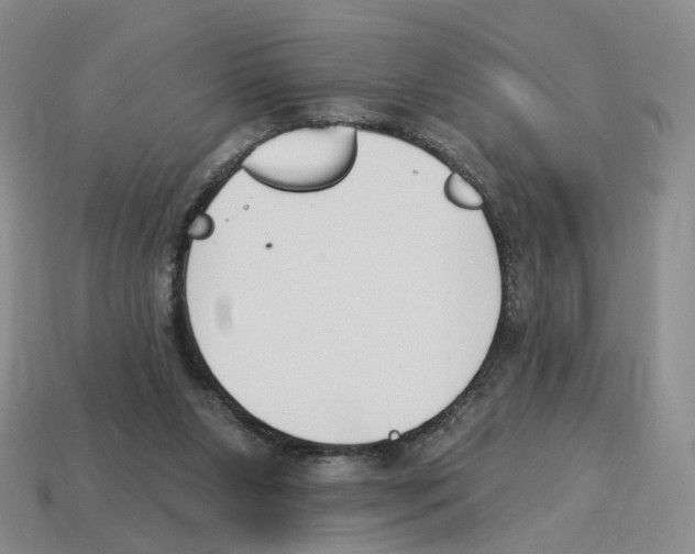 X0000114240111200911061556