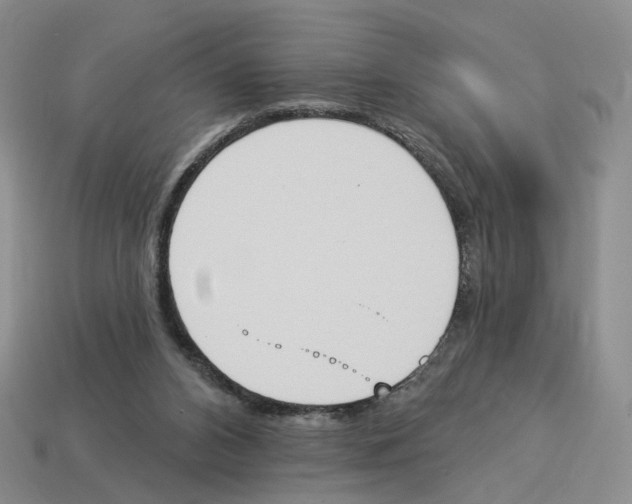 X0000114240112200911061556