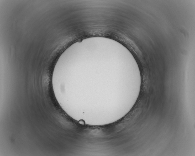 X0000114240113200911061556