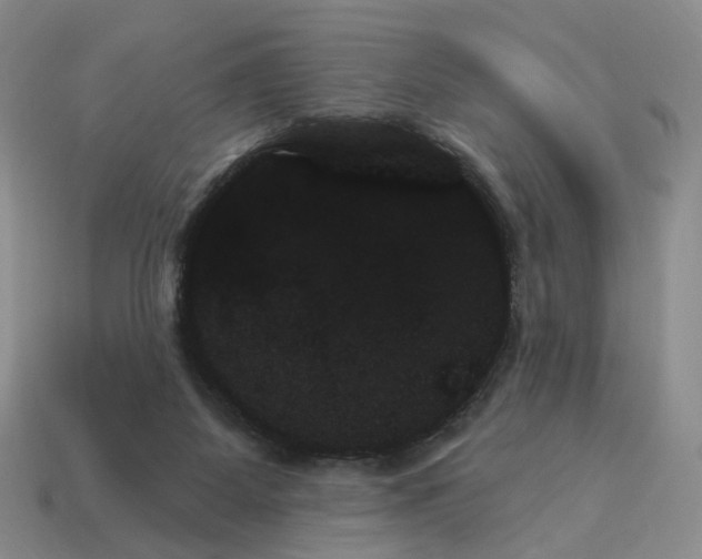 X0000114240115200911061556