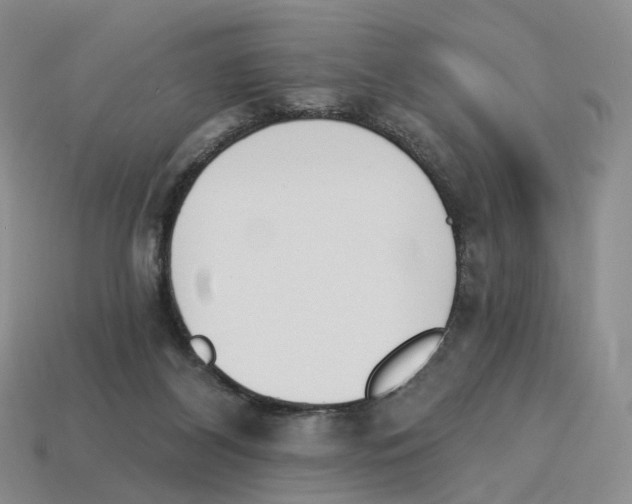 X0000114240116200911061556