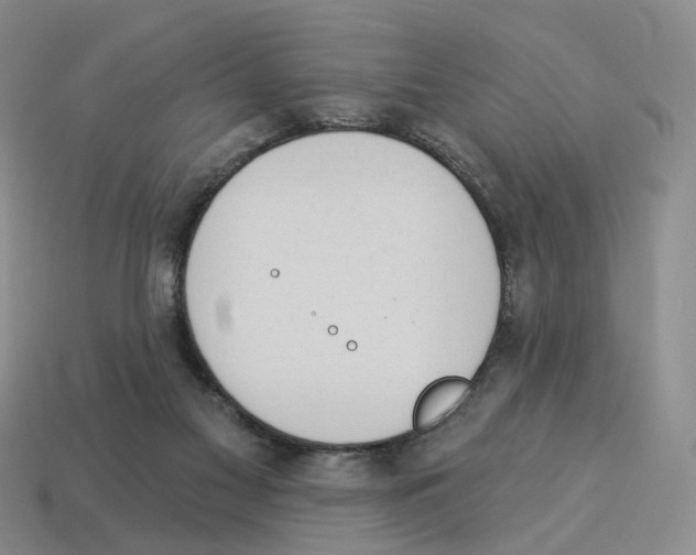 X0000114240117200911061556