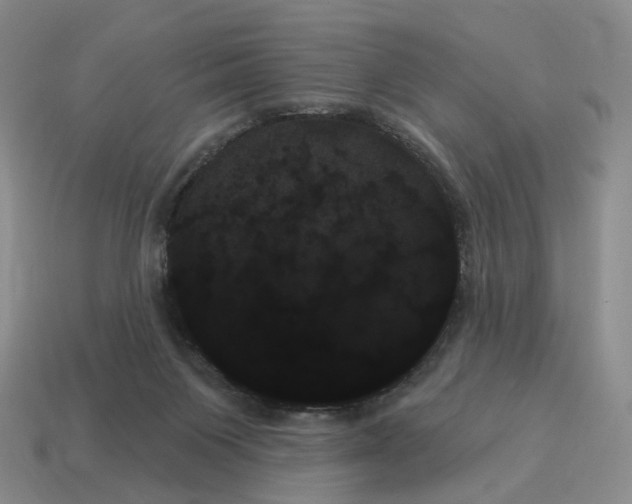 X0000114240119200911061556