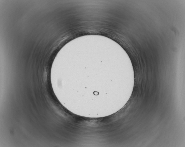 X0000114240120200911061556