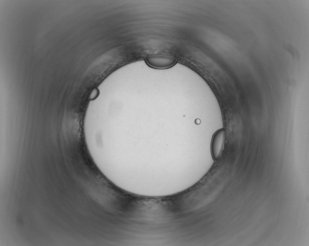 X0000114240121200911061556