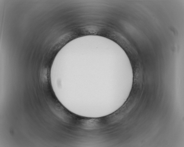 X0000114240122200911061556