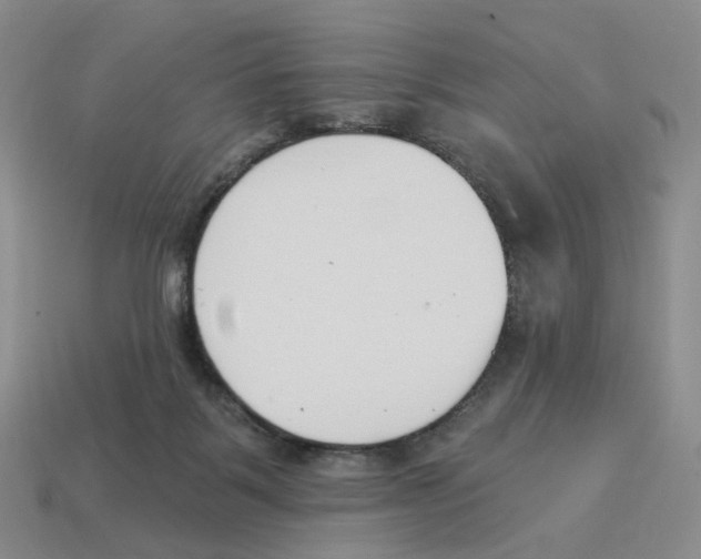 X0000114240123200911061556