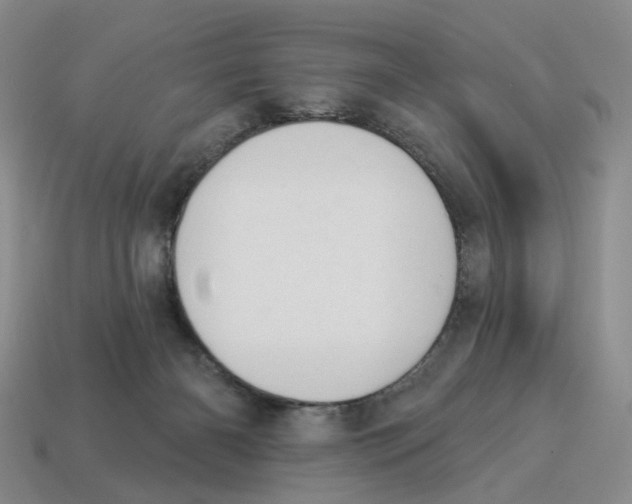 X0000114240126200911061556