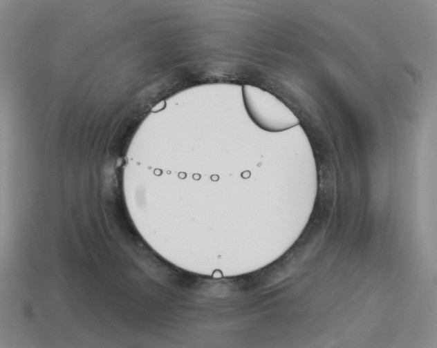 X0000114240127200911061556