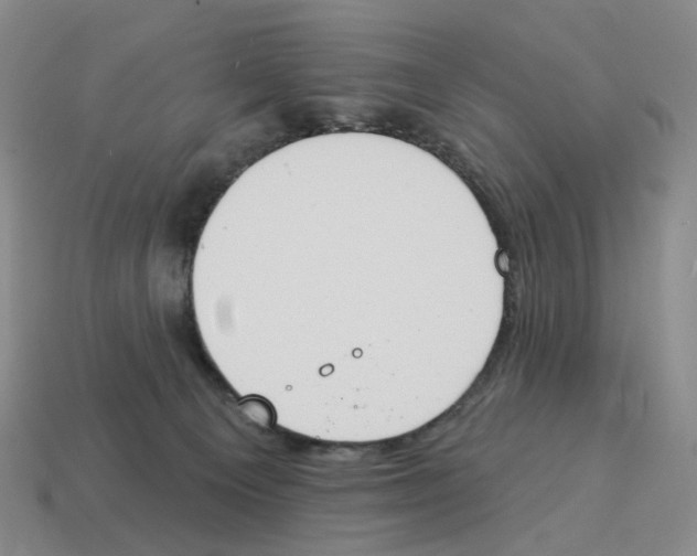 X0000114240129200911061556