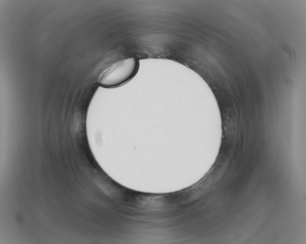 X0000114240132200911061556