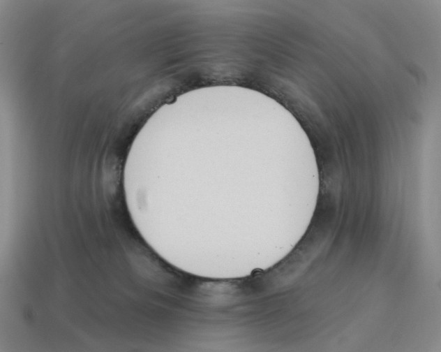 X0000114240133200911061556