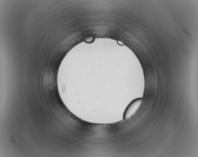 X0000114240136200911061556