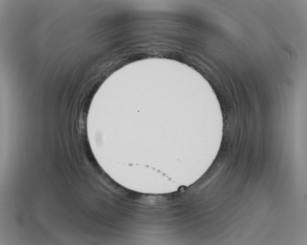 X0000114240137200911061556