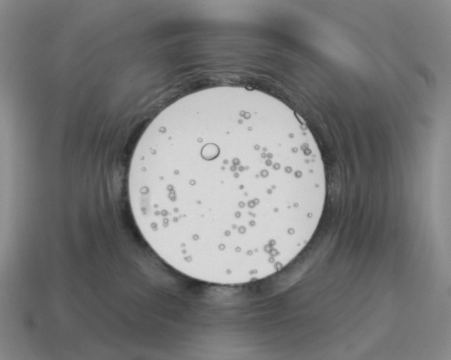 X0000114240139200911061556