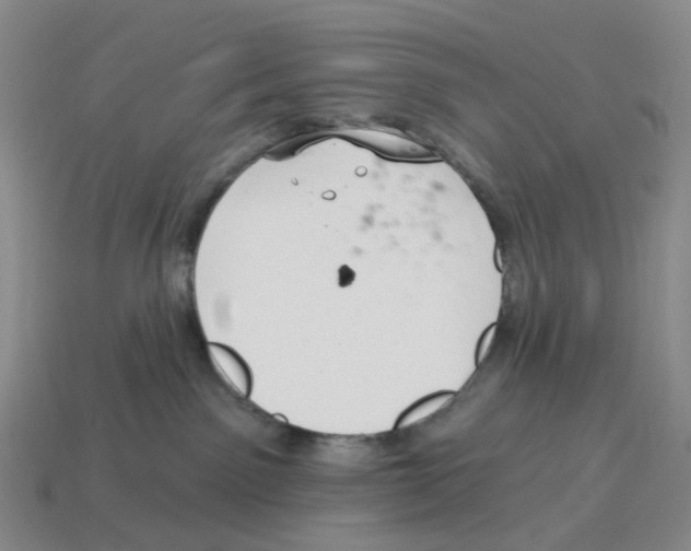 X0000114240141200911061556