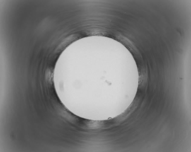 X0000114240142200911061556