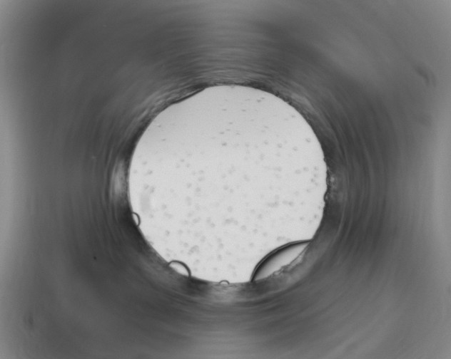 X0000114240143200911061556