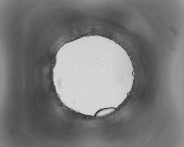 X0000114240144200911061556