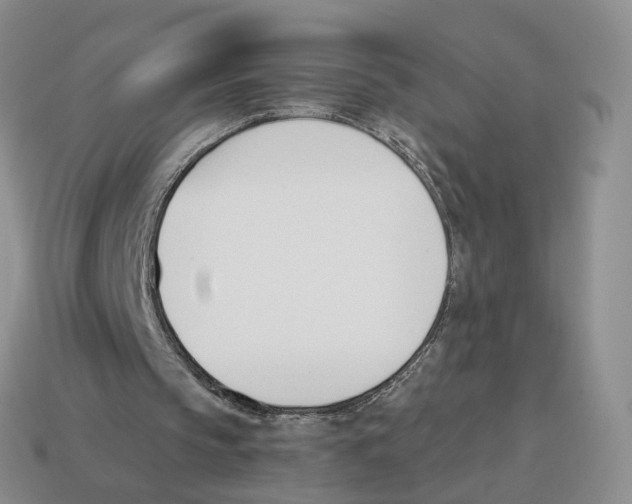 X0000114240145200911061555