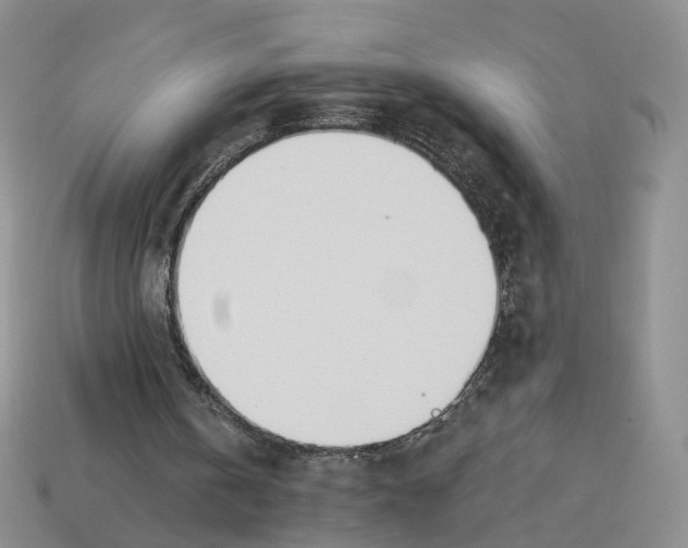 X0000114240146200911061555