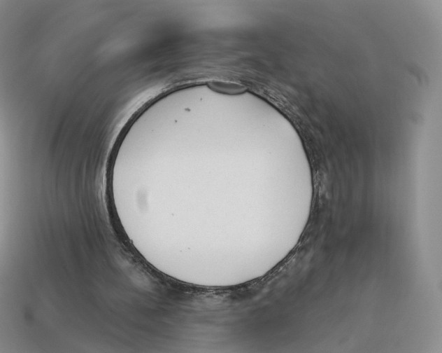 X0000114240148200911061555