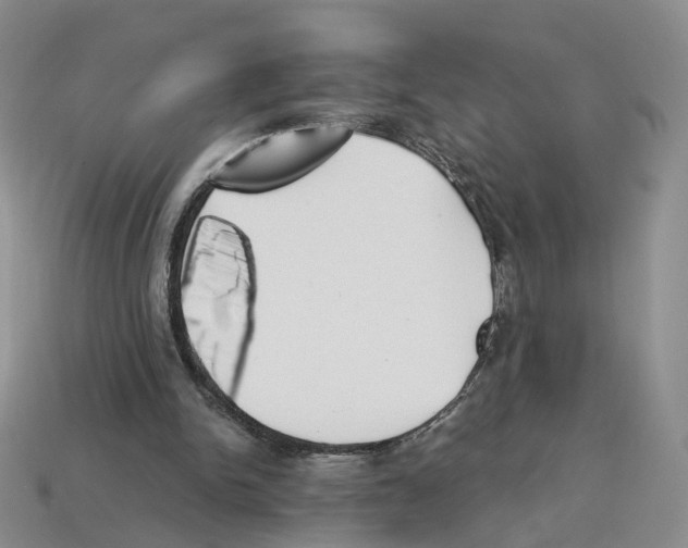 X0000114240150200911061555