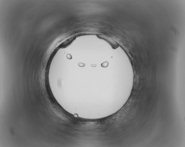 X0000114240151200911061555