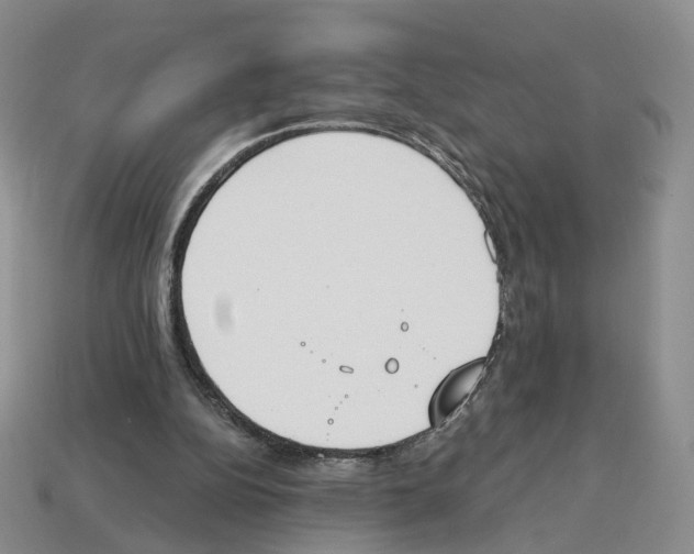 X0000114240152200911061555