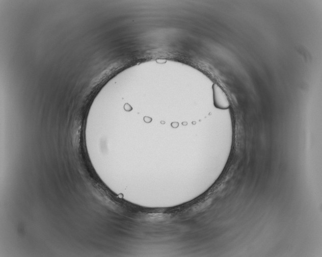 X0000114240153200911061555