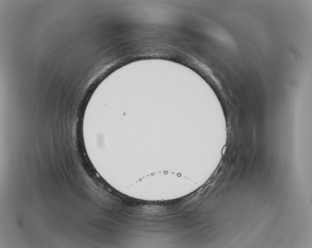 X0000114240154200911061555