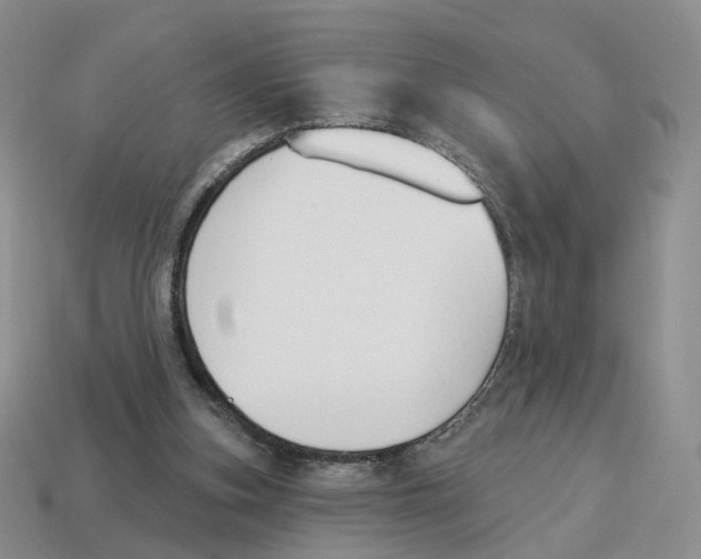 X0000114240155200911061555