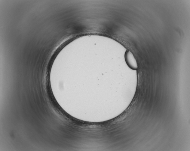 X0000114240156200911061555