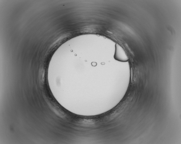 X0000114240157200911061555