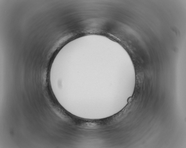 X0000114240159200911061555