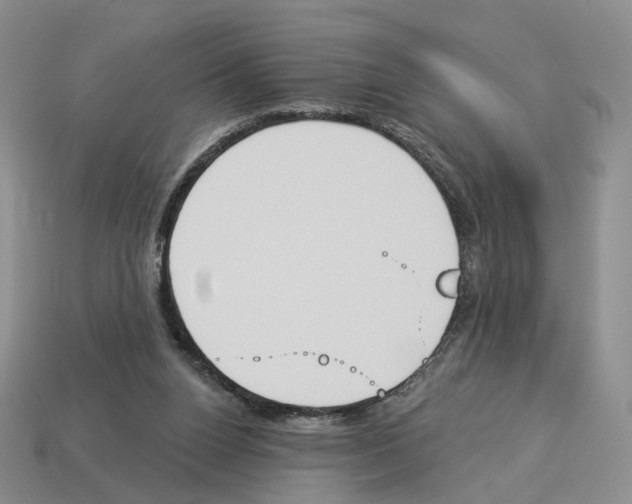 X0000114240160200911061555