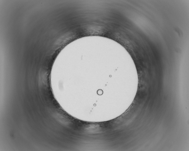 X0000114240162200911061555