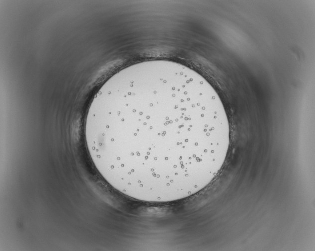 X0000114240163200911061555